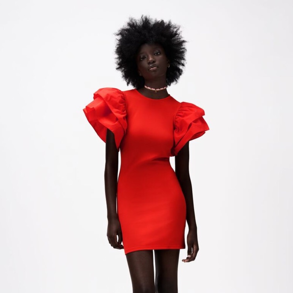 Zara Ruffled Dress